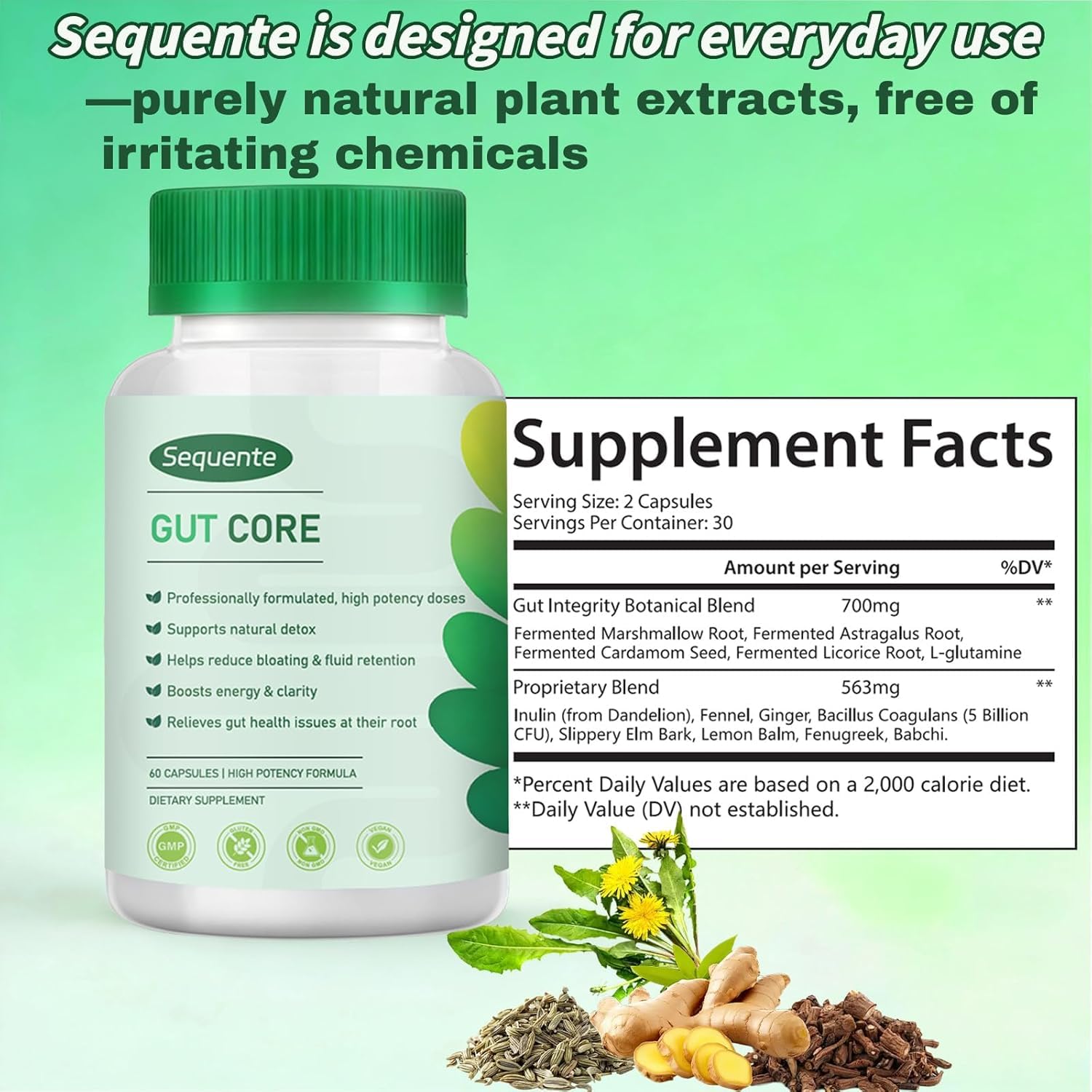 Sequente GutCore ingredient blend with Inulin, Fennel, Ginger, Slippery Elm Bark.