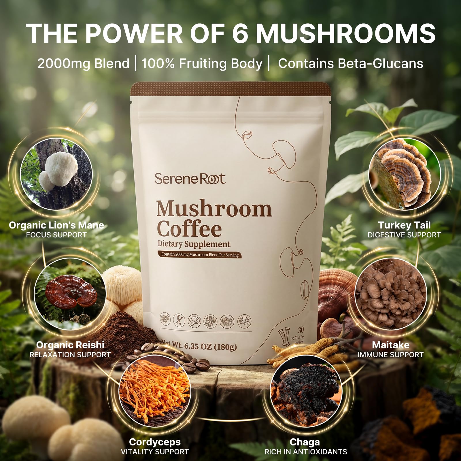 Close-up of SereneRoot blend highlighting Lion’s Mane, Reishi and Cordyceps for balanced mornings.