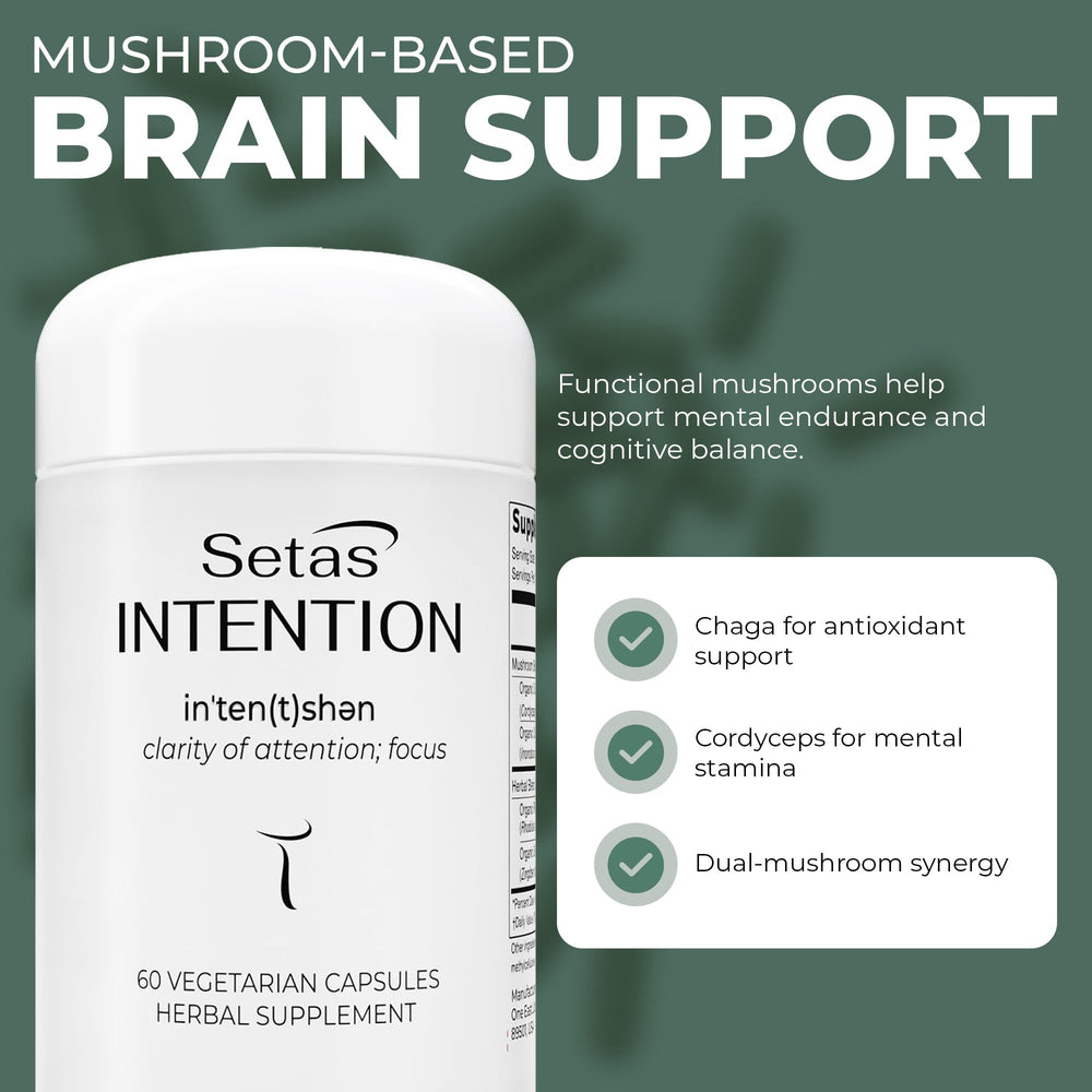 Setas Intention ingredient blend image featuring Chaga, Cordyceps, Rhodiola, and ginger.