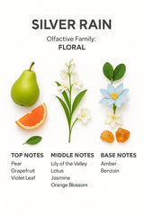Seven Aromas 145ml diffuser bottle emphasizes long lasting fragrance in suites.
