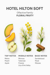 SevenAromas diffuser-compatible setup guides easy space integration.
