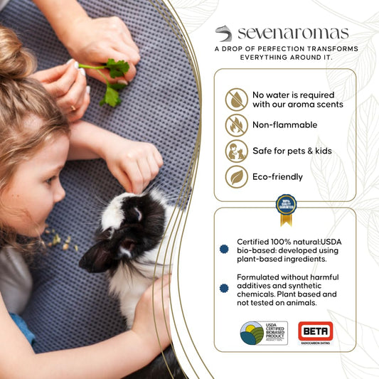SevenAromas Soft Rain top-notes visual captures airy brightness for welcoming spaces.
