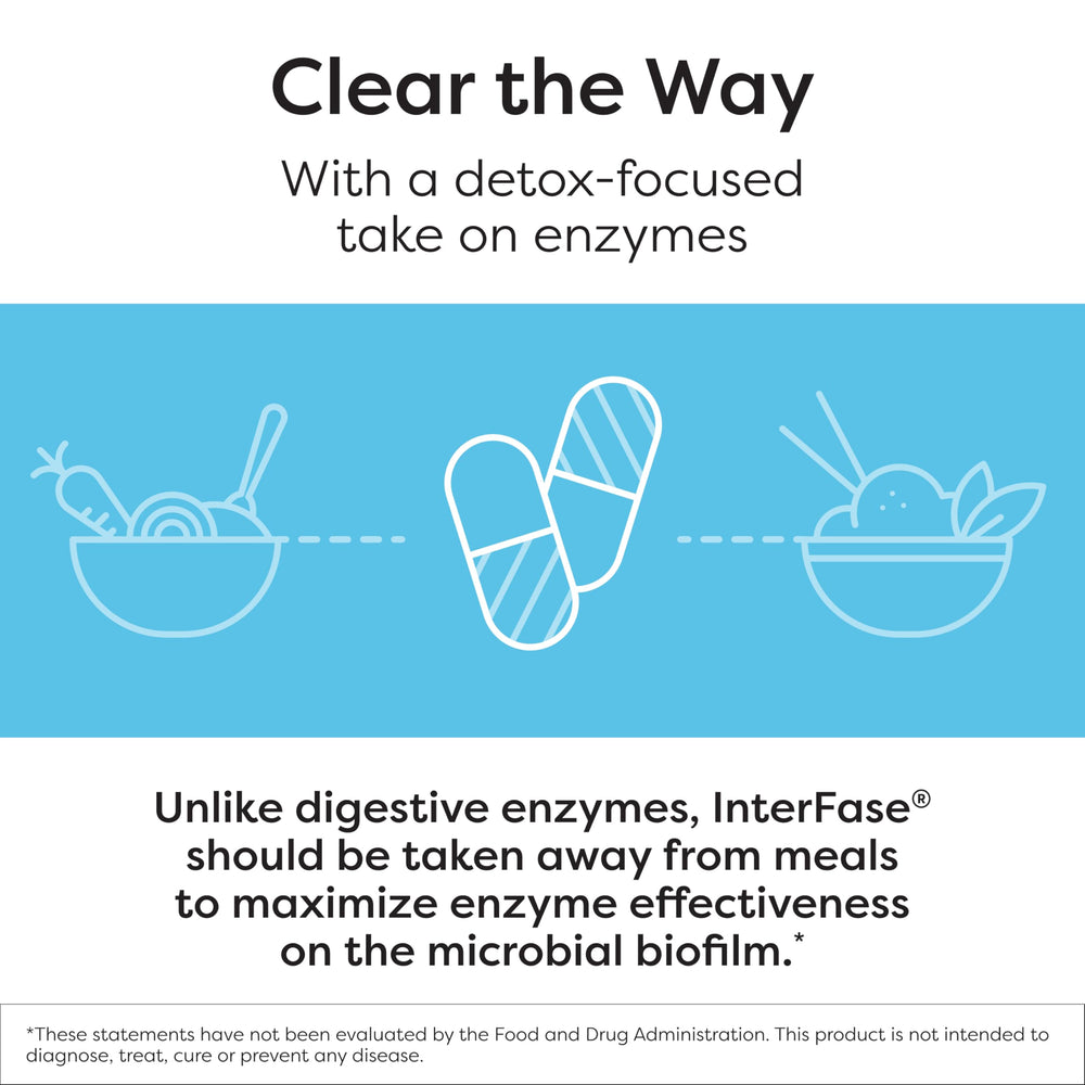 Digestive balance graphic illustrating how enzymes may support a healthy gut environment