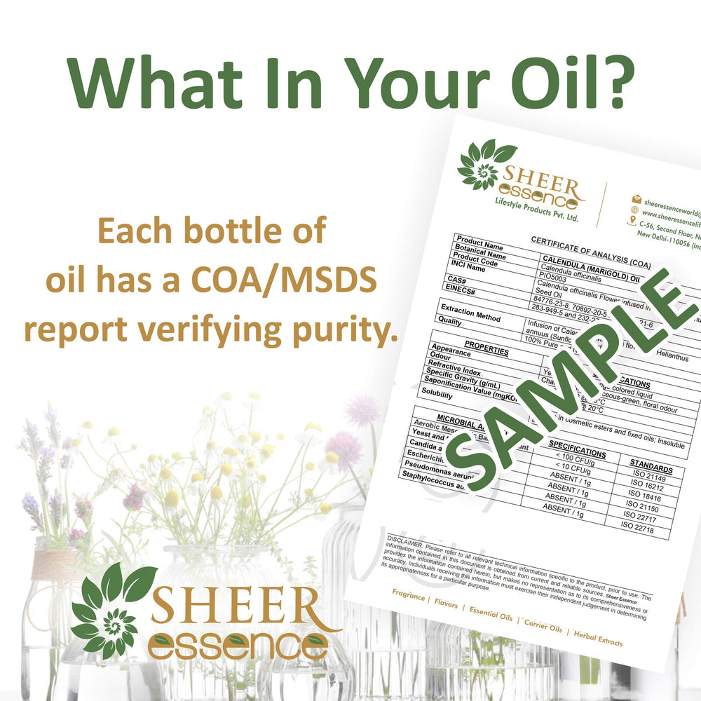 Sheer Essence Arnica Oil for DIY skincare projects and blends