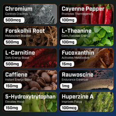 Forskolin extract label on Sheer Strength product