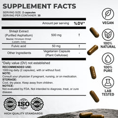 SHILAHEAL pure Shilajit extract capsules close-up showing 500mg potency for energy