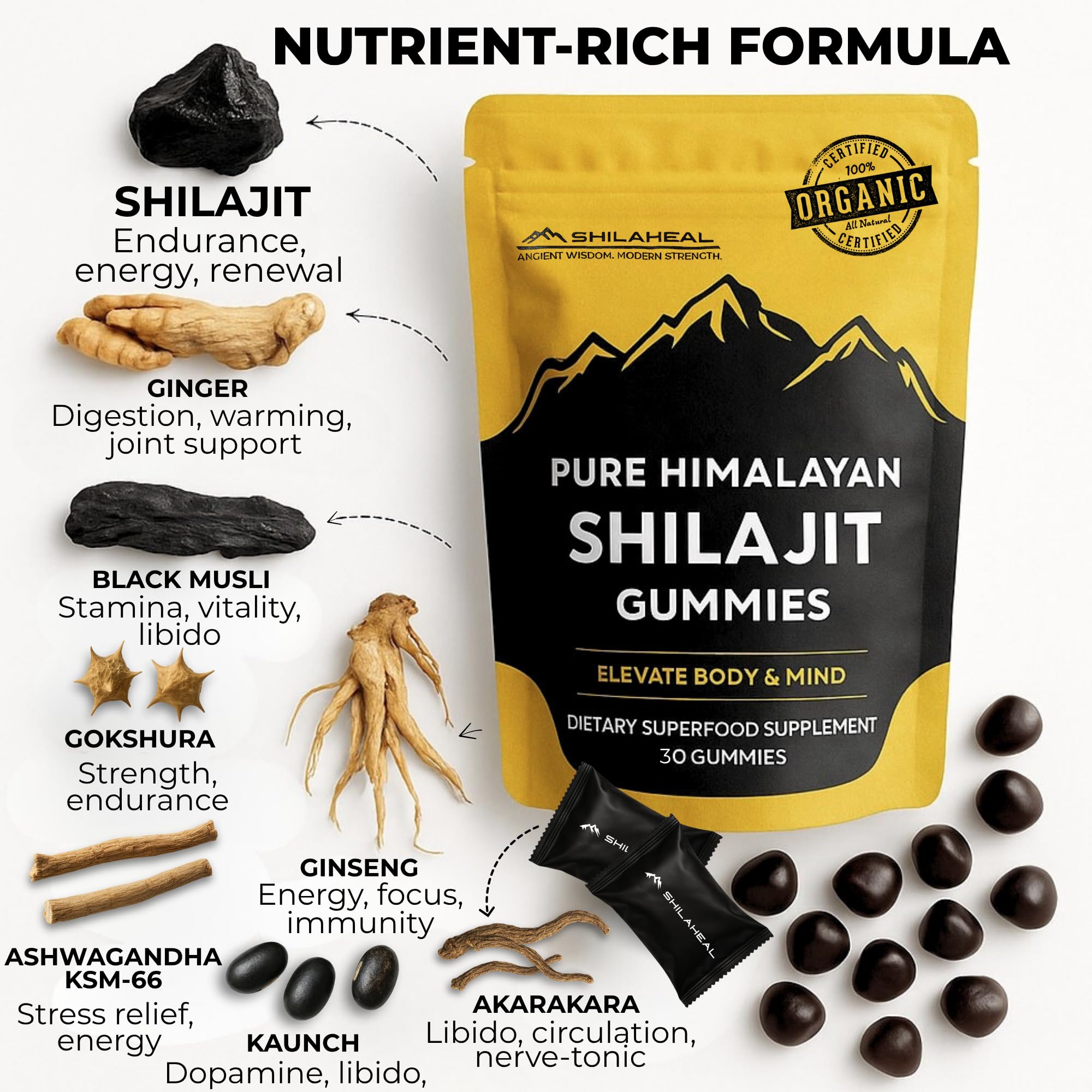 SHILAHEAL Shilajit Gummies fulvic acid and minerals for absorption.
