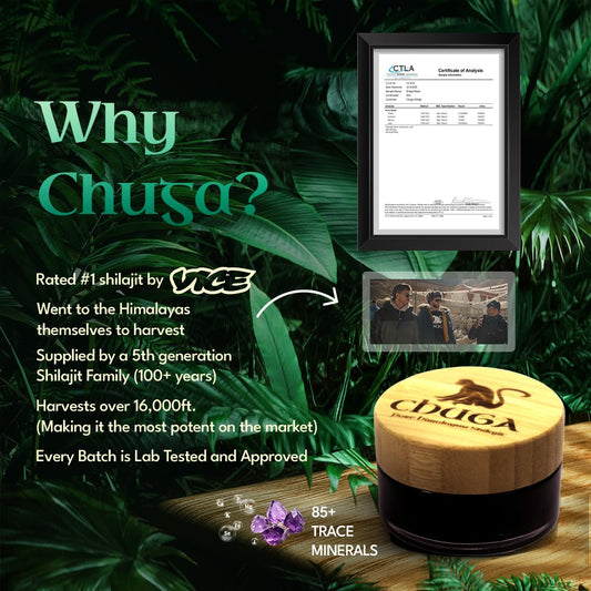 Chuga Shilajit resin closeup highlighting mineral richness and premium quality.