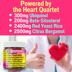 SHIZAM red yeast rice ingredient close-up highlighting premium blend for balanced nutrition.