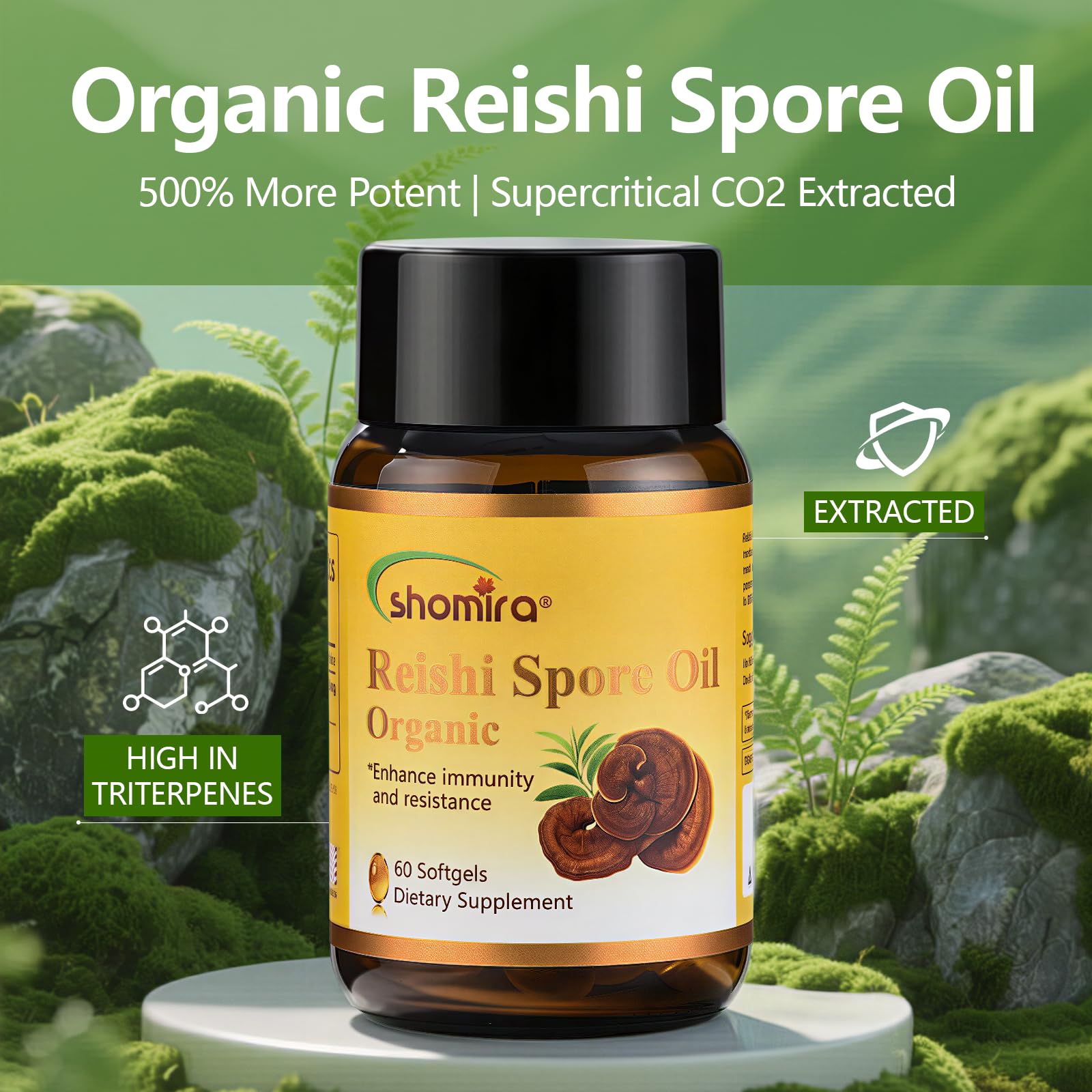 Shomira Reishi Spore Oil label highlights triterpenes and antioxidants.