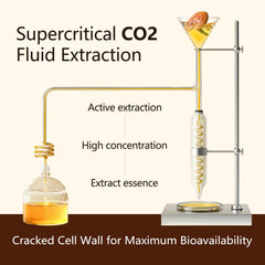 Shomira Reishi Spore Oil bottle pour demonstrating easy dosing.