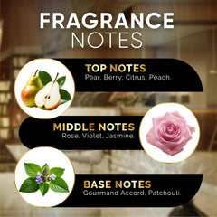 Signature Scents Urban Ember diffusion spreading in a living room space.