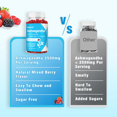 Sijigood Ashwagandha Gummies two-pack ready for daily routine