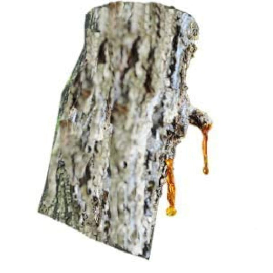 Silky Scents Amber Essential Oil label with safety notes for informed use.
