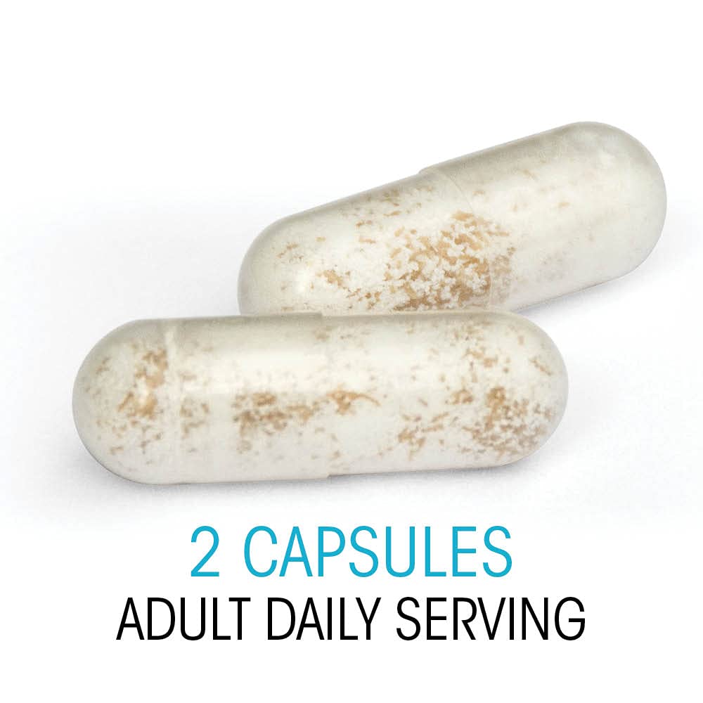 Silver Fern probiotic capsules close-up emphasizes daily two-capsule routine