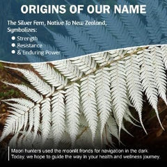 Silver Fern Made in USA facility emphasizes quality manufacturing