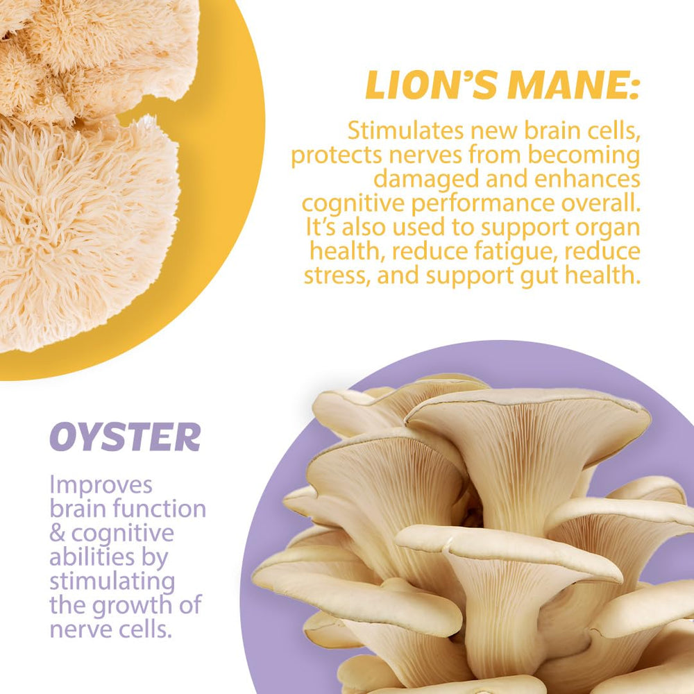 Close-up of ingredients label featuring mushroom blends and botanicals.