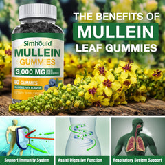 Simhould mullein leaf extract ingredients panel with quercetin and bromelain.