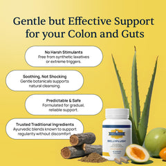 Simple Promise BellyFlush ingredients panel featuring milk thistle and clay