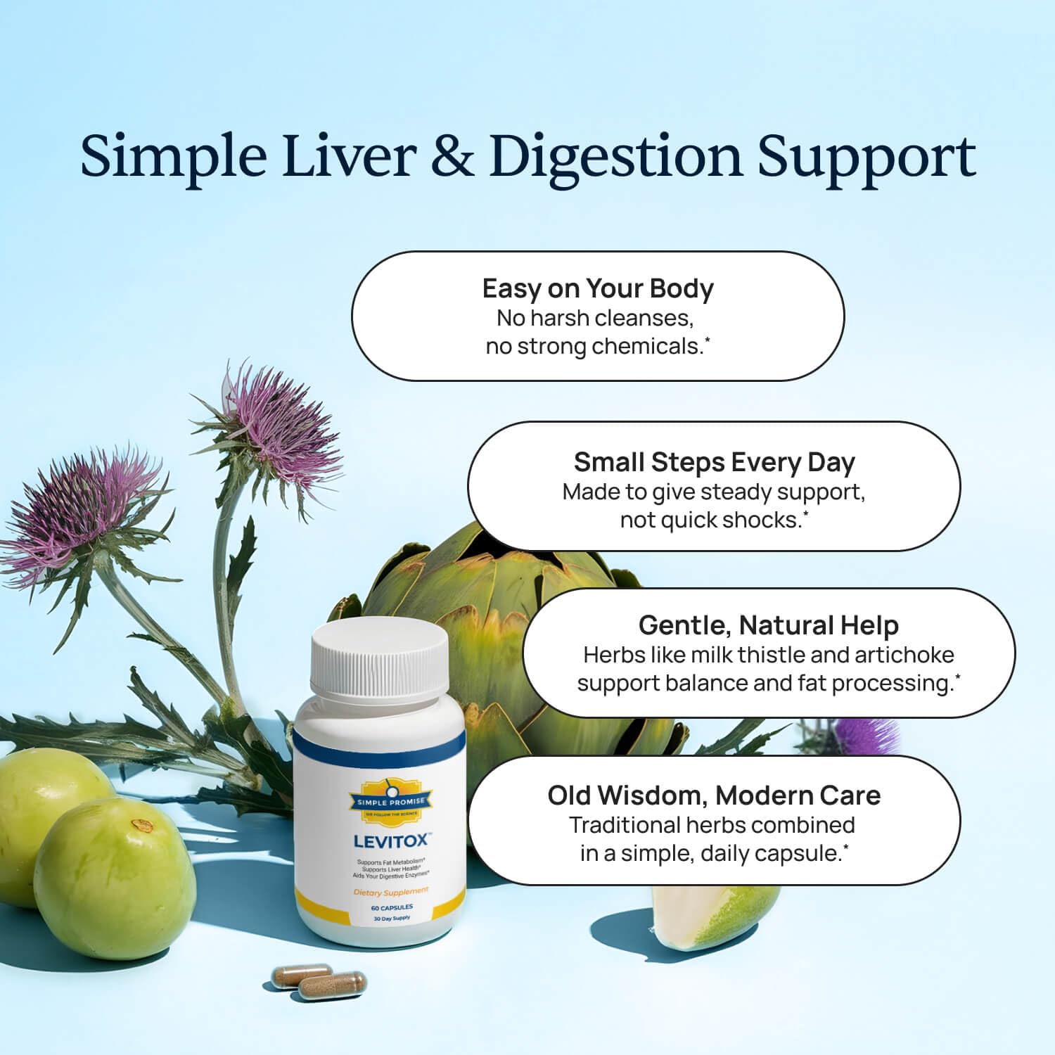 Dandelion-root component highlighting metabolism-friendly herbal support.