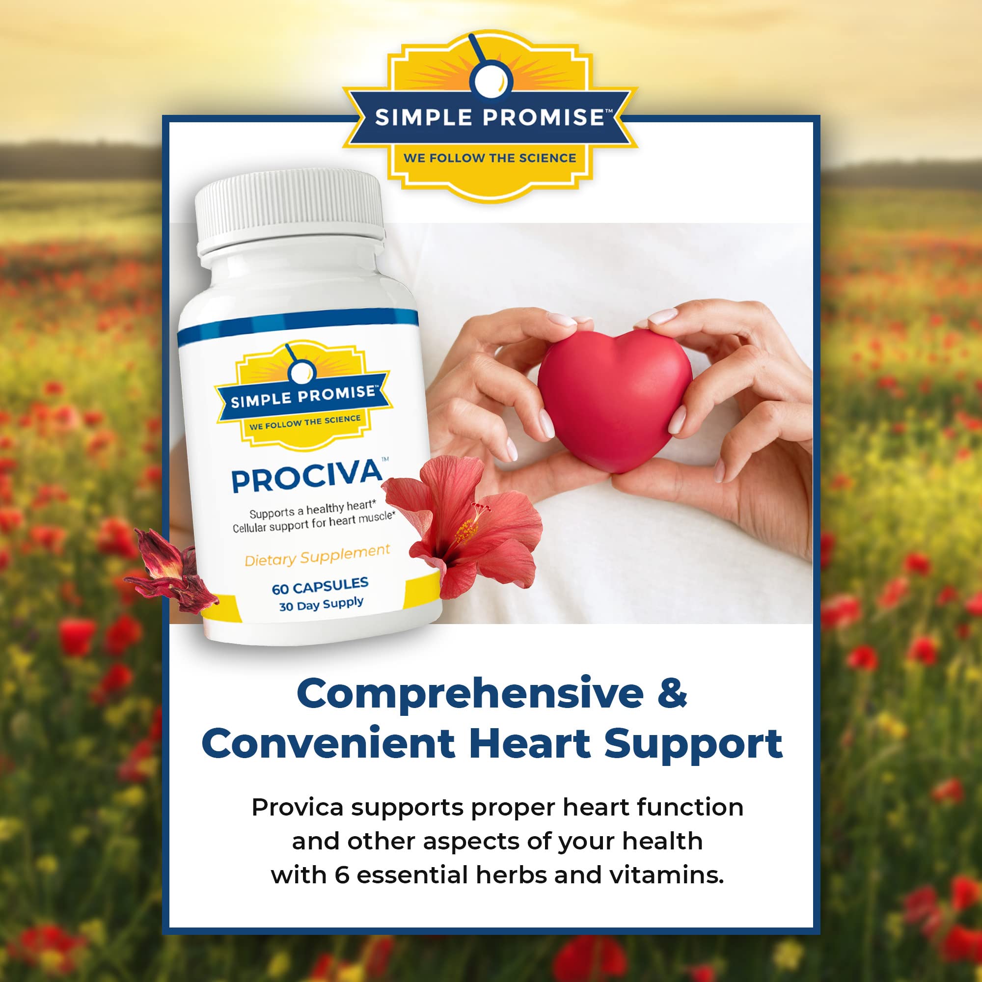 Prociva capsules neatly arranged to show convenient daily dosage.