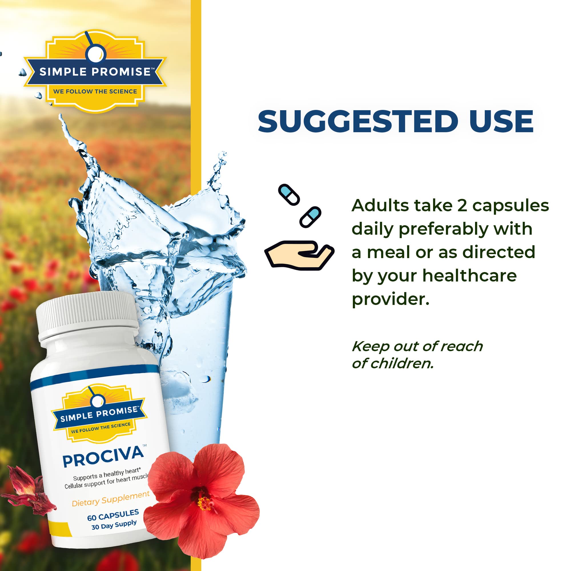 A visual infographic showing Arjuna, hibiscus, and folic acid blend.