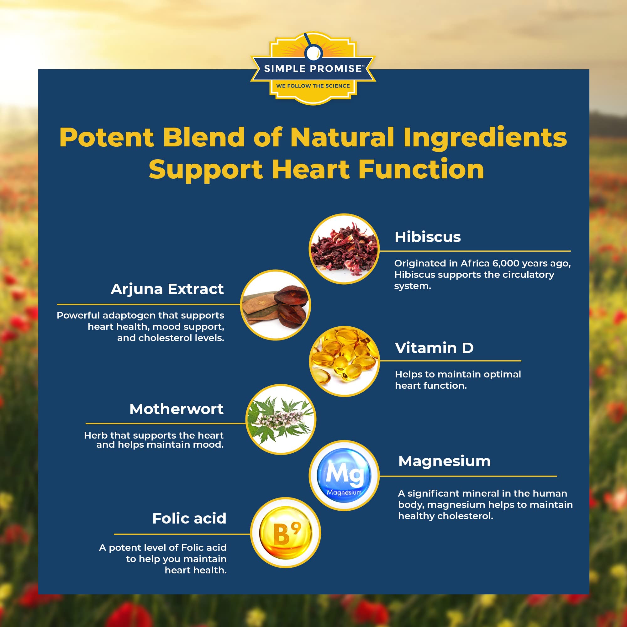 Prociva packaging with label and ingredients overview.