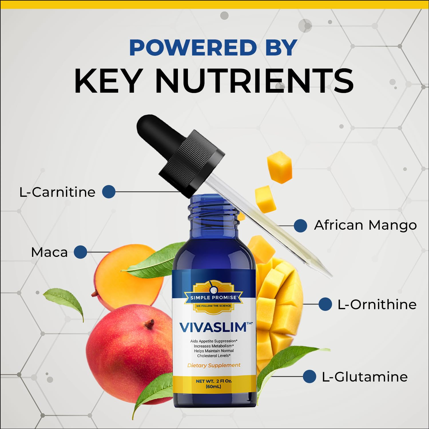 Simple Promise VivaSlim maca root for steady energy support