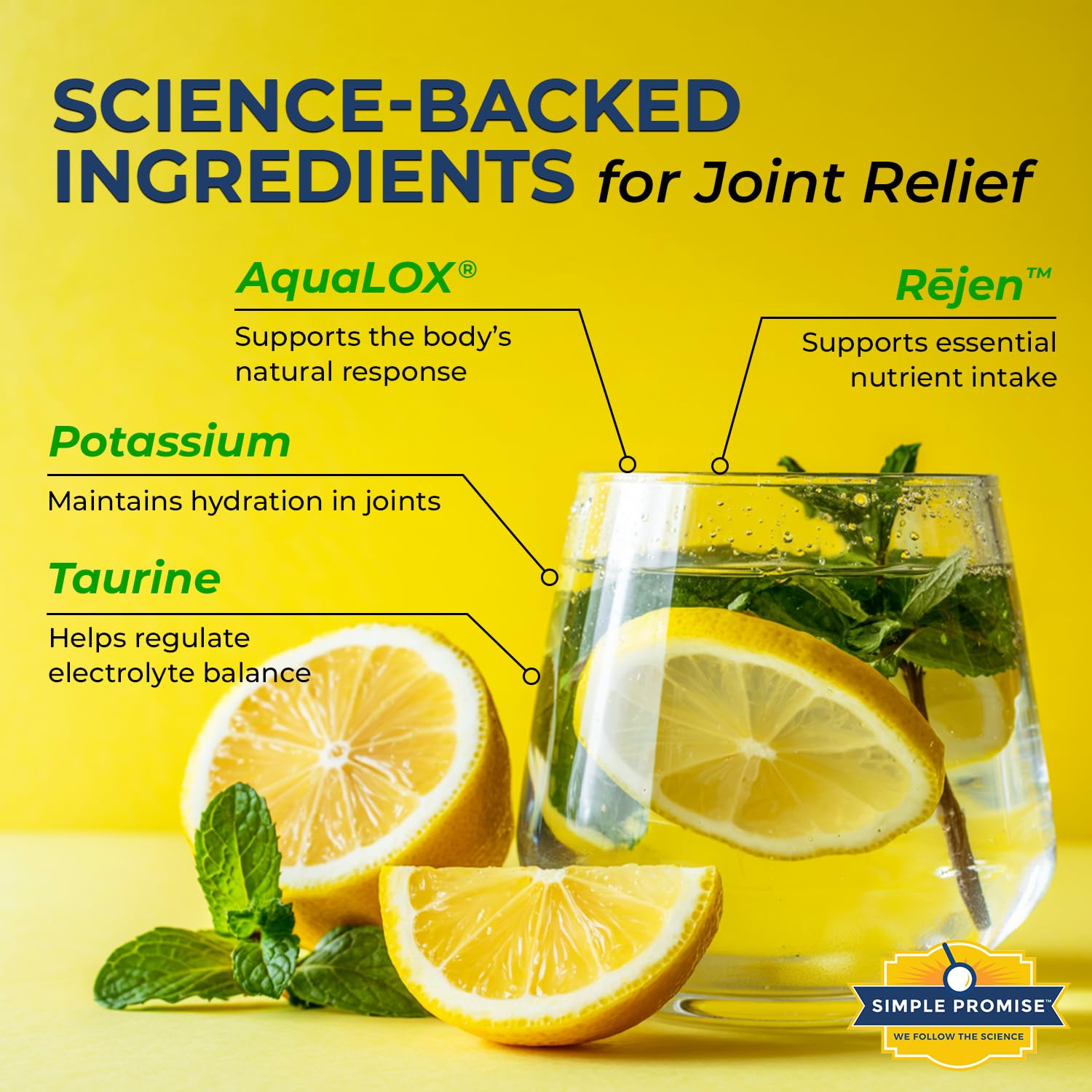 Simple Promise XentaFlex ingredients chart showcasing electrolyte blend.
