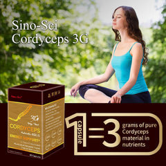 Sino-Sci Cordyceps 12x extract graphic highlights potency and polysaccharides.