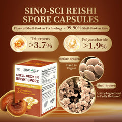 Sino-Sci liver-health bottle emphasizes holistic wellness and detox potential.