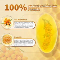 Sino-Sci Stomach Care capsules shown for convenient digestive support