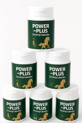 Skydia Power Plus Super lion's mane component enhances the blend for focus.