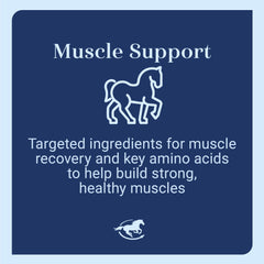 Pouring SmartEquine Acetyl L-Carnitine into feed before workouts.