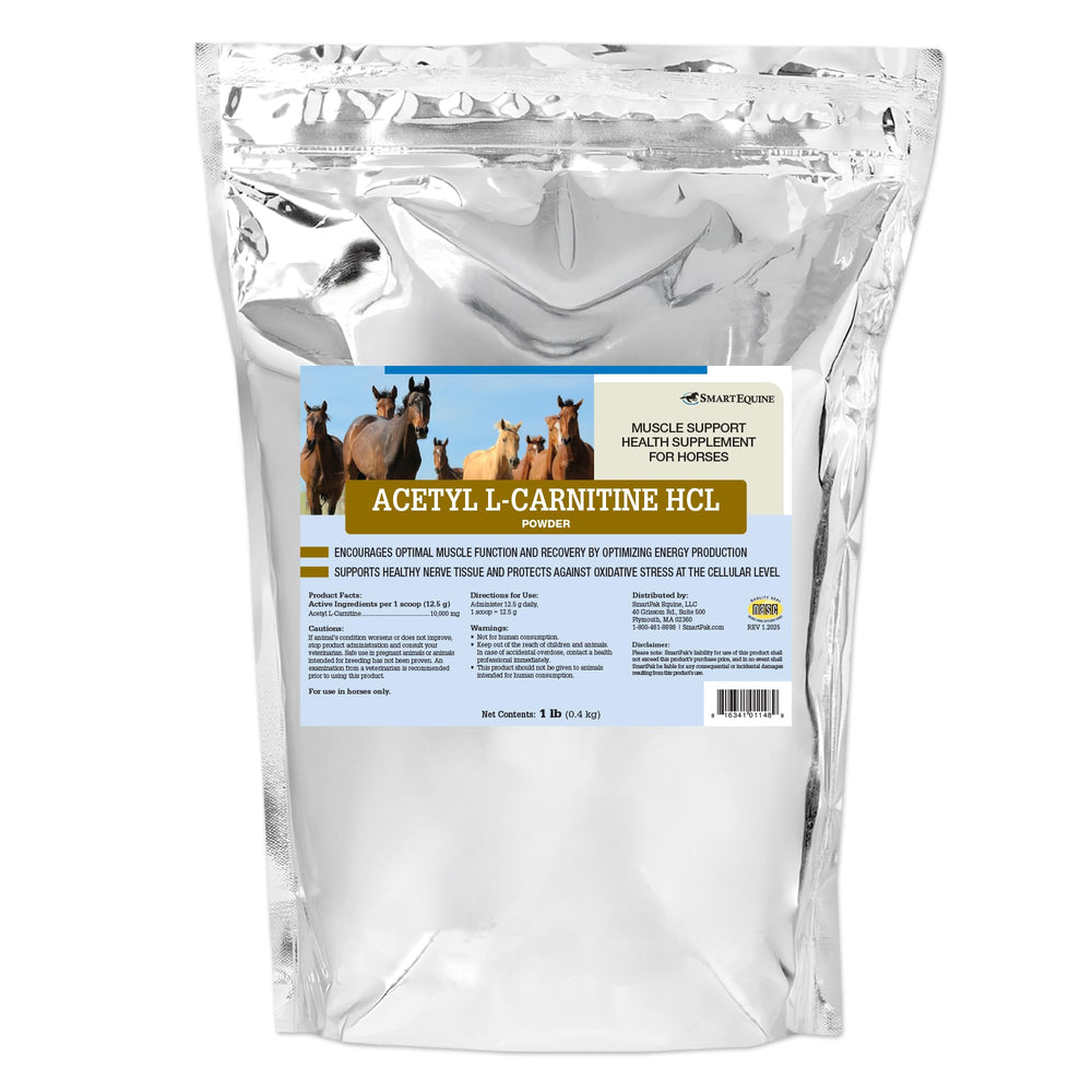 SmartEquine Acetyl L-Carnitine HCL powder tub for muscle support and energy.