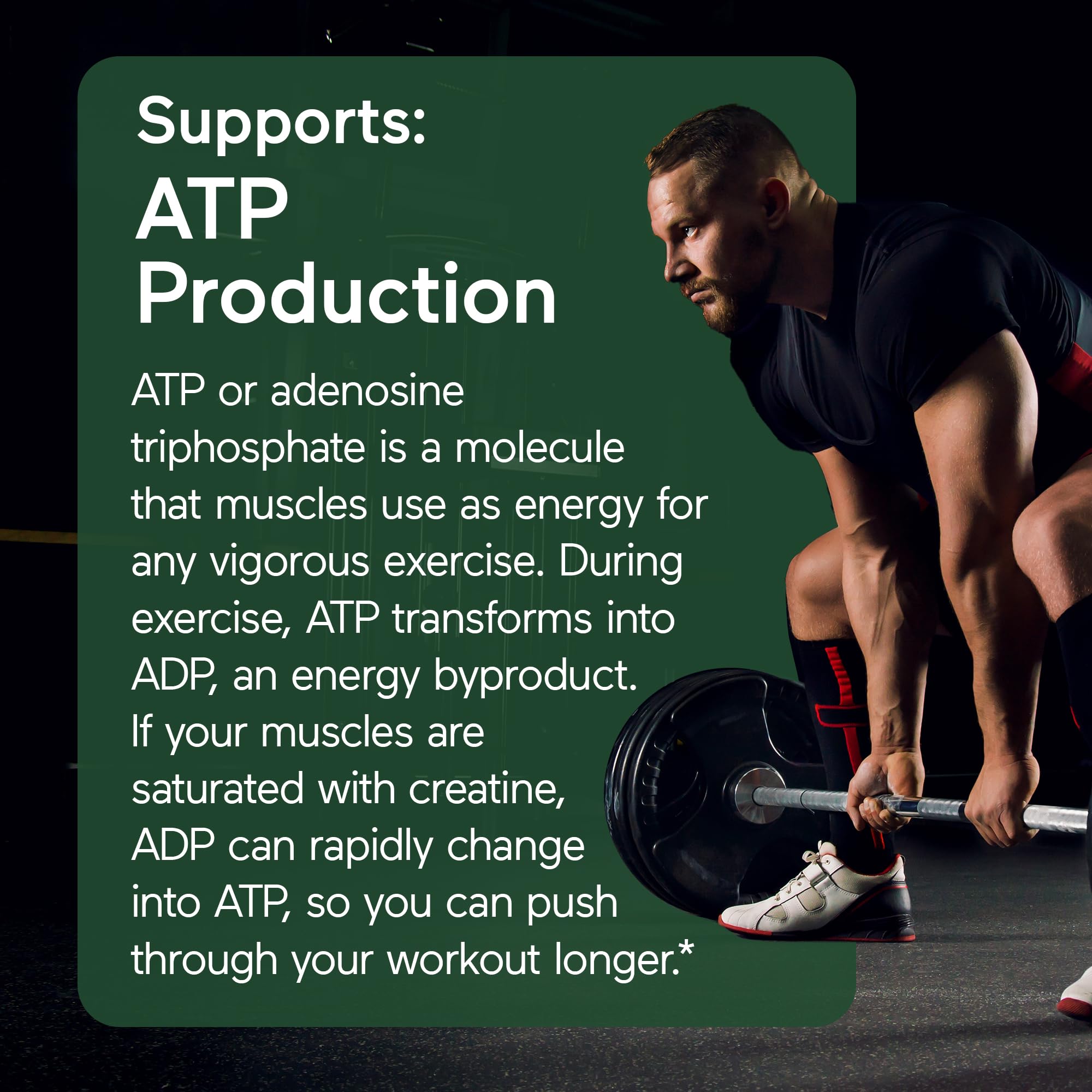 SMARTERNUTRITION Creatine Monohydrate Powder dosing spoon with measured 5 g