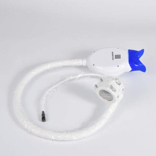 Smiledt semi-circular head enables simultaneous dual-arch whitening