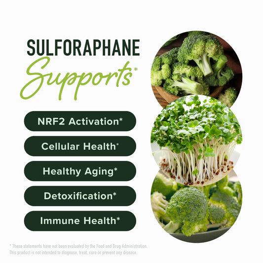 SMNutrition activated sulforaphane capsules with delayed-release delivery