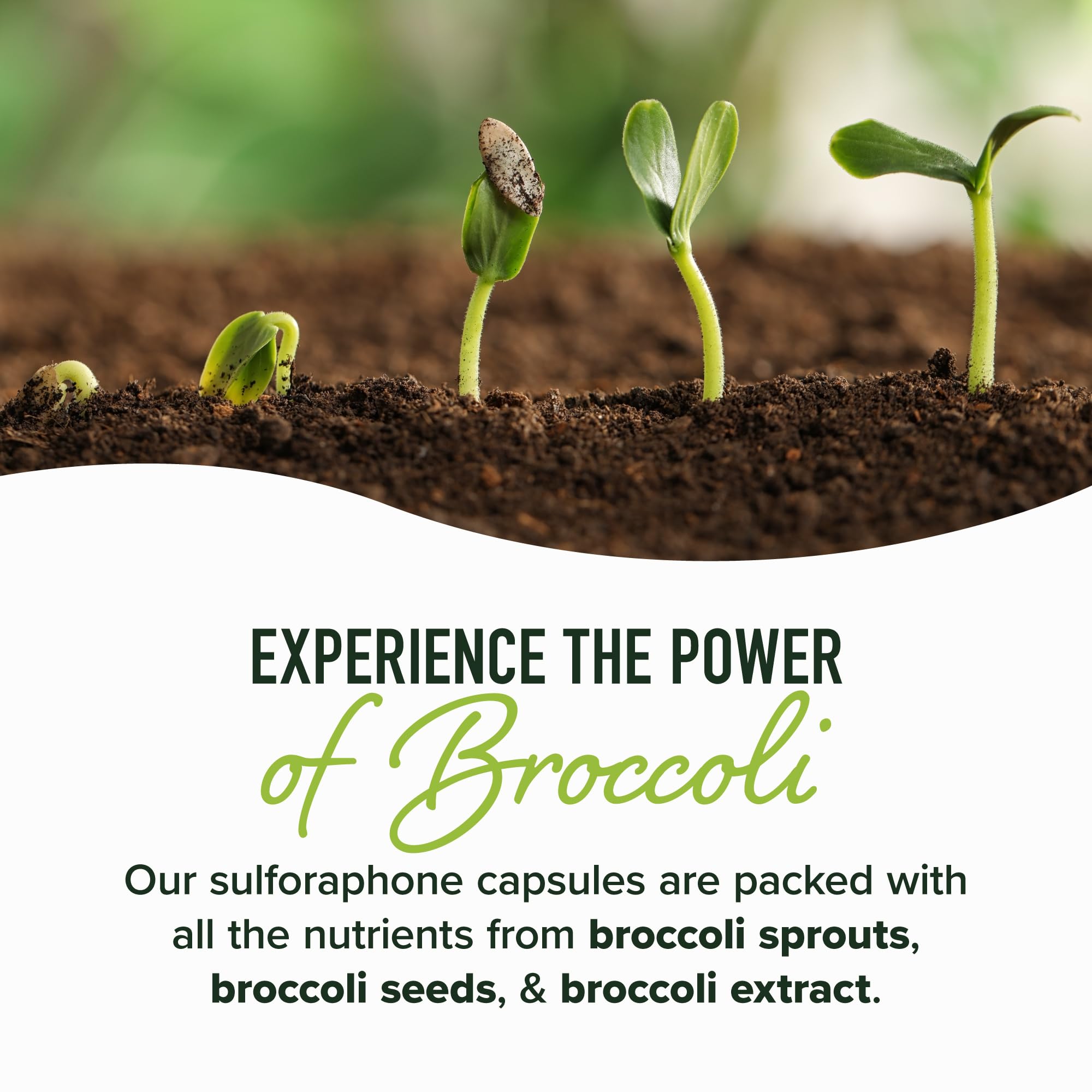 SMNutrition delayed-release microbeadlets close-up