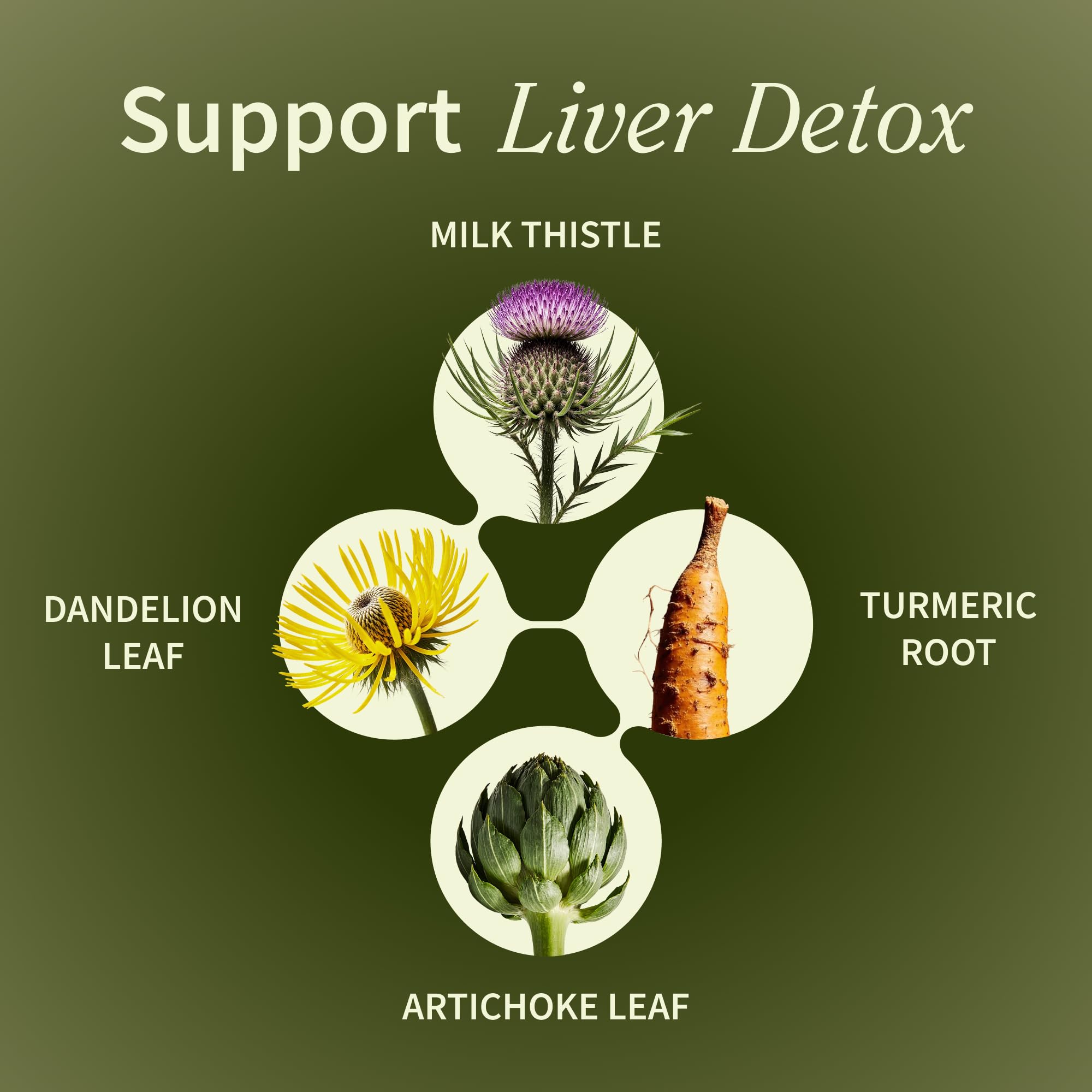 Artichoke extract close-up on bottle label emphasizing traditional botanicals