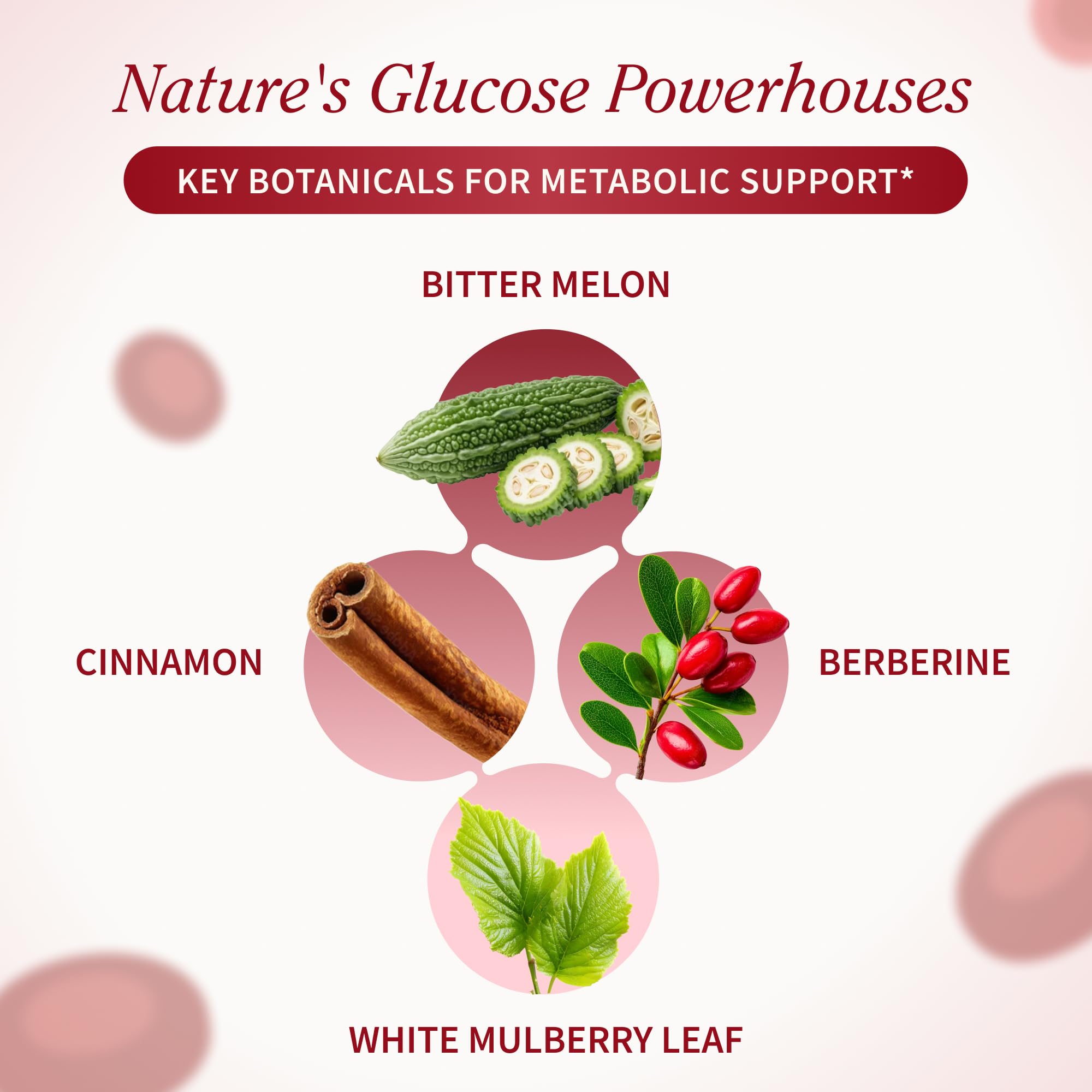 Snap Supplements Berberine capsules illustrating plant-based energy support