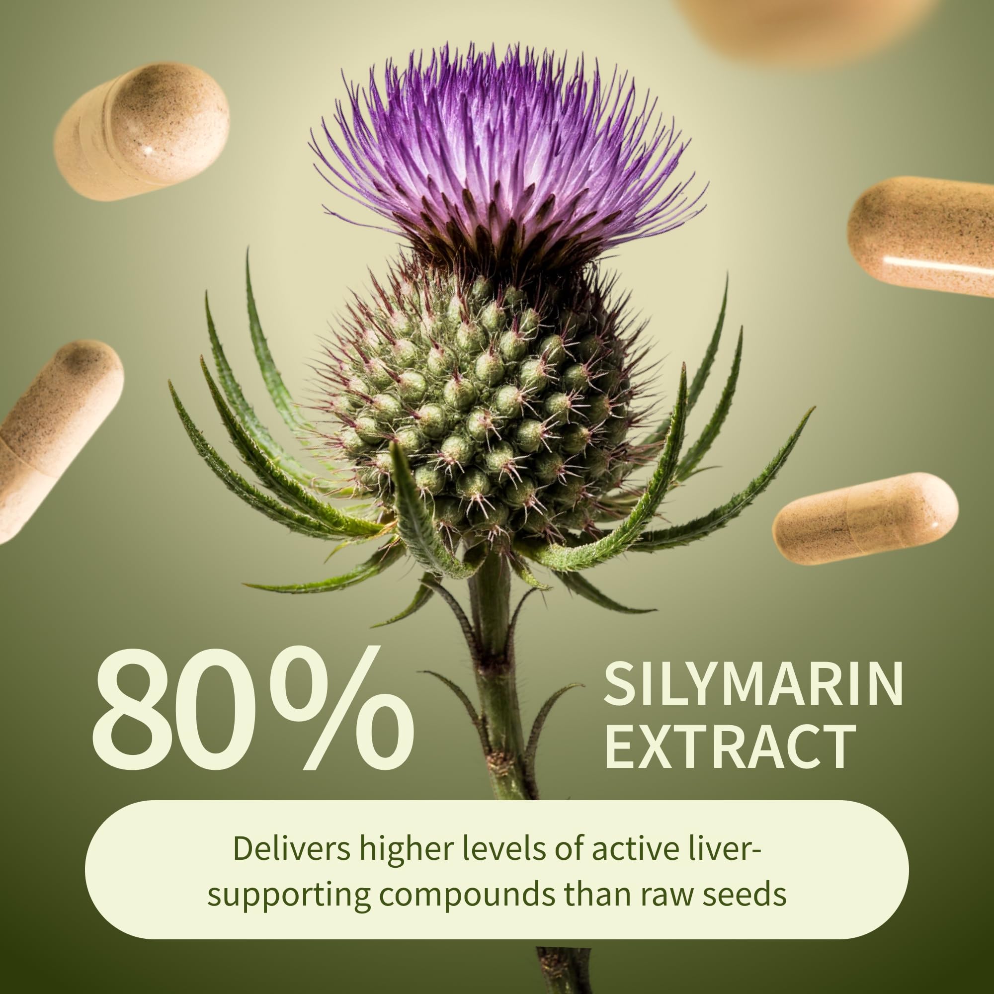 Dandelion root component on label illustrating natural antioxidant-rich ingredients