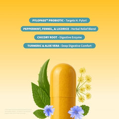 Snap Supplements probiotic blend pills closeup highlights Pylopass strain for gut balance.