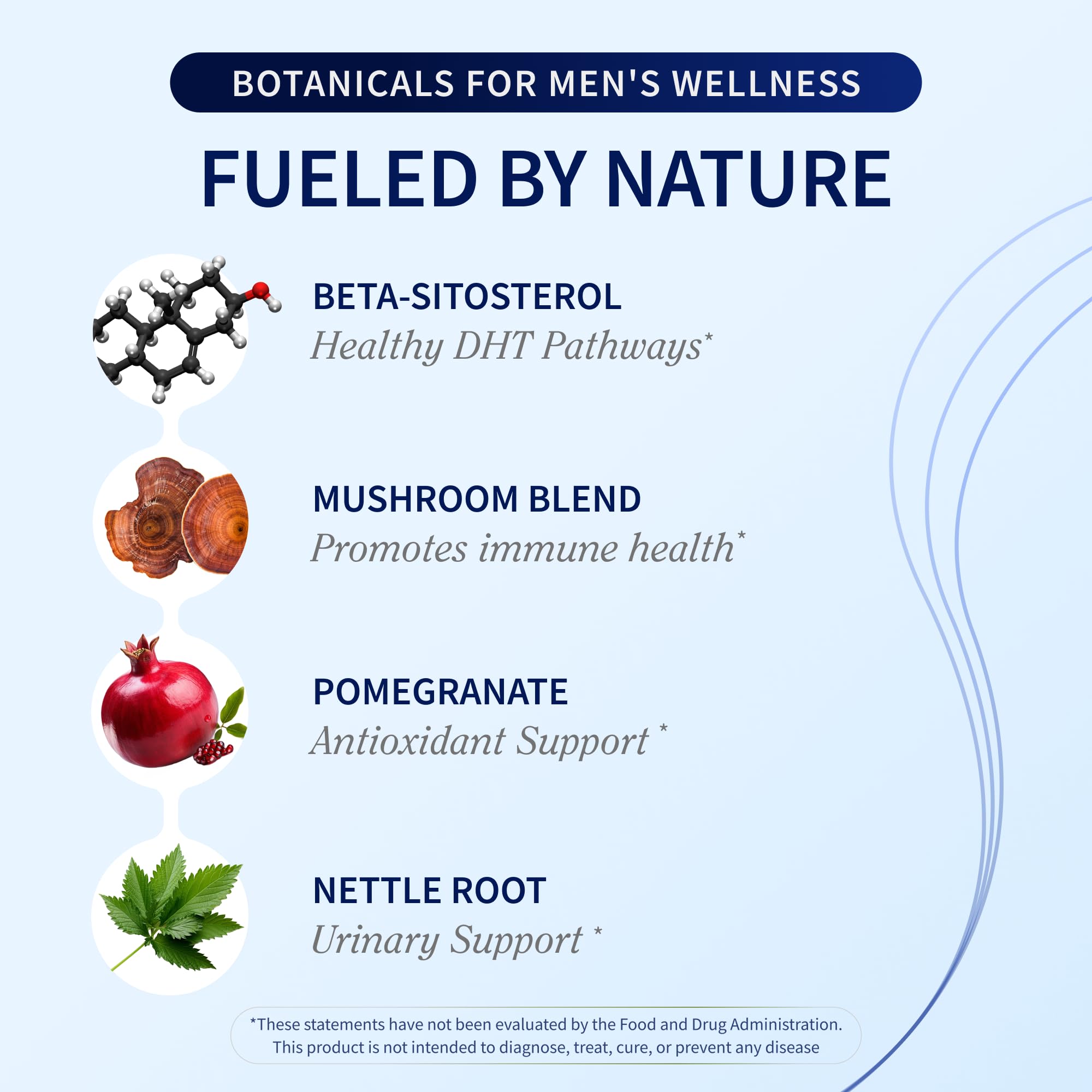 Snap Supplements Reishi mushroom soft chew, close-up highlighting high-potency extract for daily vitality.