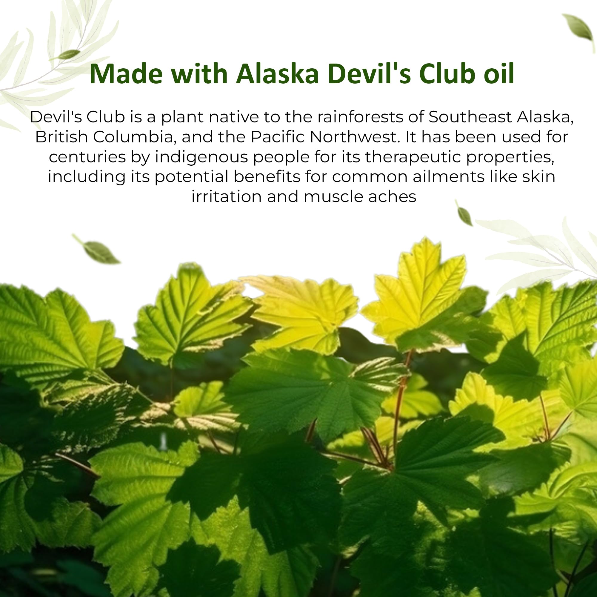 Snowy Summit Devil's Club Salve 2X packaging design close-up