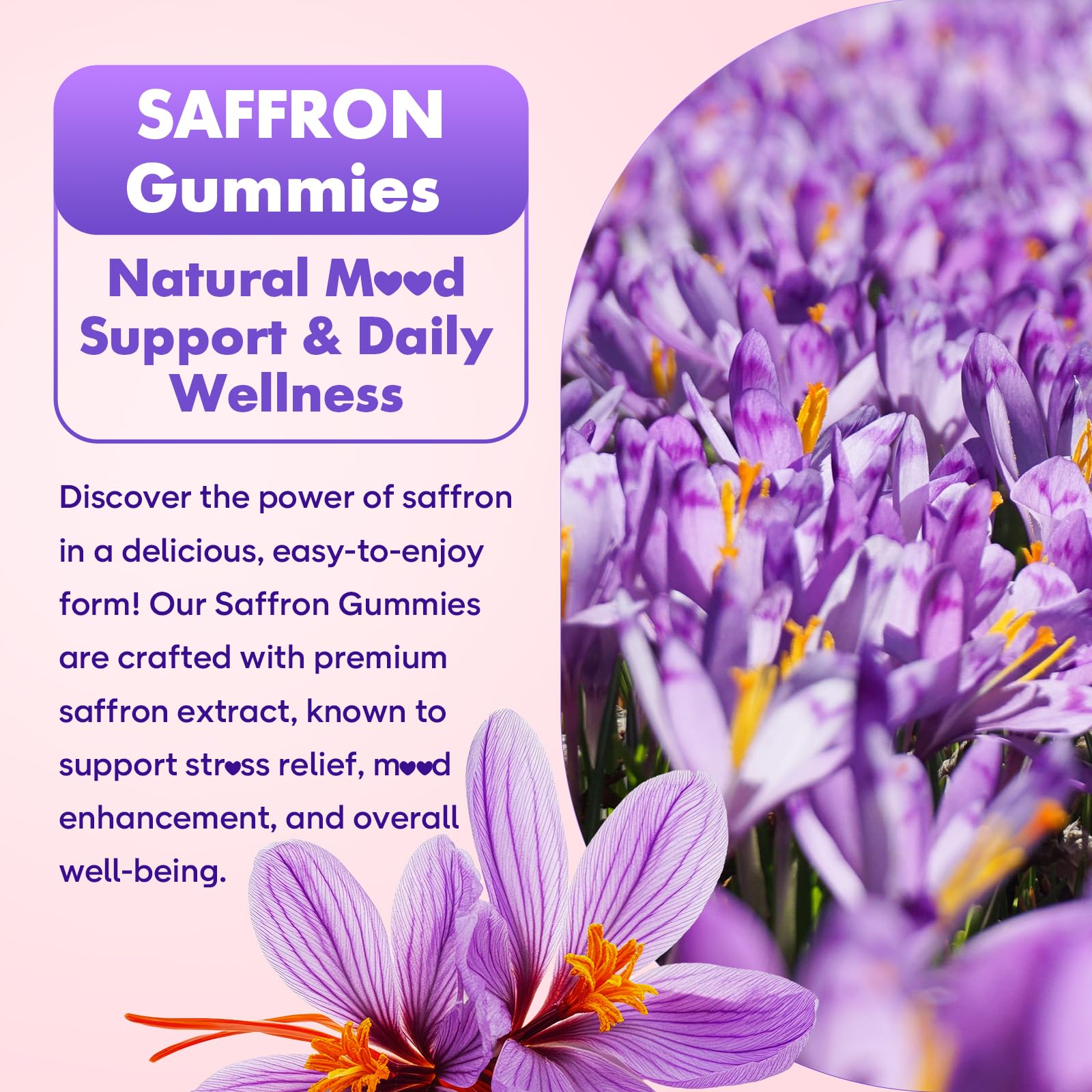 SoftBear saffron gummies for adults on a desk beside a notebook and beverage
