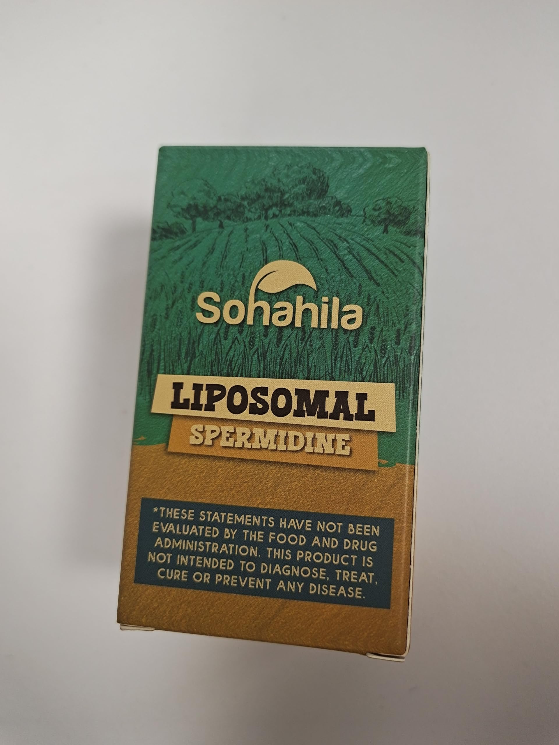 Sohahila spermidine liposome delivery illustration highlighting absorption.