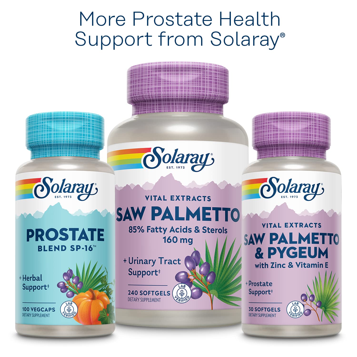 60-day guarantee seal on packaging communicates Solaray confidence and customer reassurance.