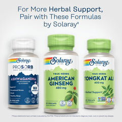 SOLARAY American Ginseng 480 mg bottle displayed on a shelf for daily use.