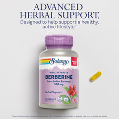 SOLARAY Berberine 500mg capsules closeup highlights quality and easy ingestion.